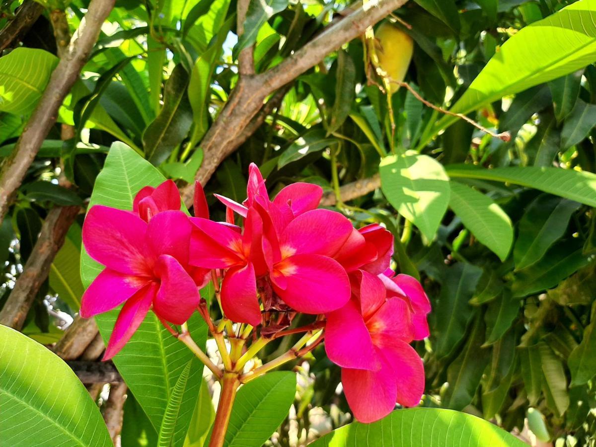 Casa Vista Hermosa 外观 照片